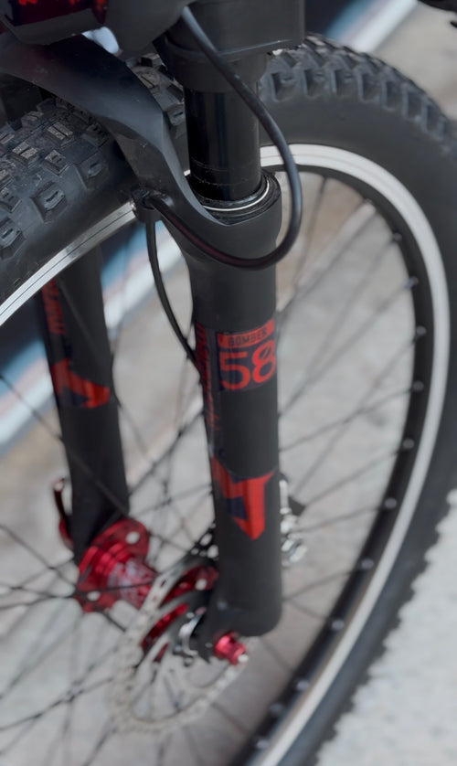 Boomer 58 decals