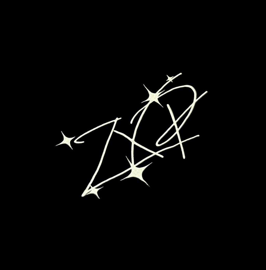 Official ZXP decals shirt