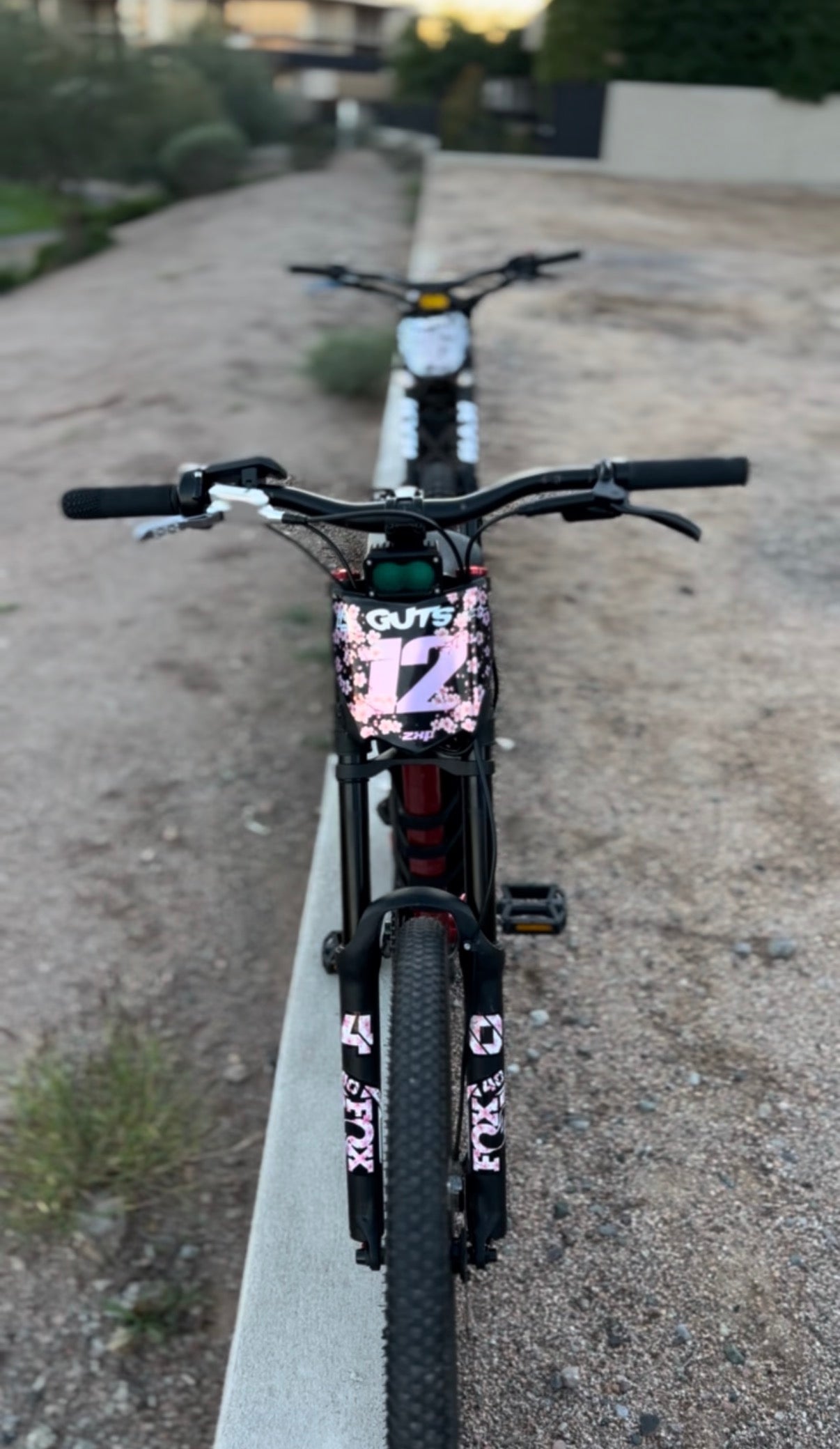 Fox 40 decals